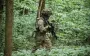 Enemy launches 37 attacks in Pokrovsk direction, 97 occupiers neutralized – General Staff