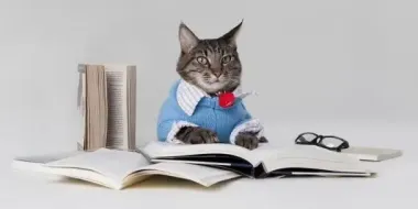8 привычек, которые, по мнению психологов, свидетельствуют о низком уровне интеллекта человека