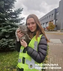 Ракетная атака на Киев: спасенный из руин котенок нашел свой дом у полицейской
