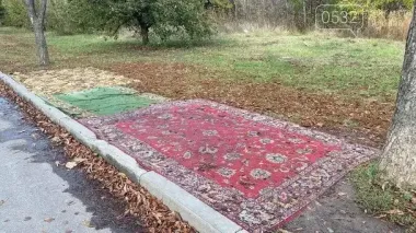 У Полтаві постелили килими на зупинці: у чому причина (фото)