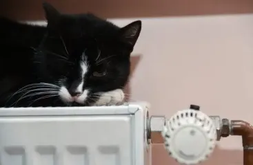 Опалювальний сезон відкладається: 7 лайфхаків, які зігріють вашу квартиру та заощадять тисячі гривень