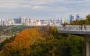 Чи безпечне повітря в Київській області після обстрілів: відповідь КОВА