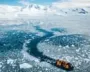 Russia arrests Ukrainian biologist for backing curbs on Antarctic krill fishing