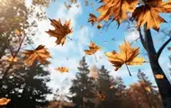 Що зміниться в листопаді: мобілізація, опалювальний сезон, нові виплати