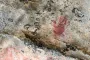 Этой технологии раньше не существовало: в Финляндии обнаружили 5000-летние наскальные рисунки (фото)