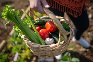 Цены на популярные овощи и фрукты в Украине стремительно растут: сколько придется потратить
