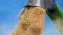 First stage of OLVIA multi-grain processing complex starts operating in Mykolaiv region
