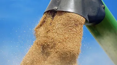 First stage of OLVIA multi-grain processing complex starts operating in Mykolaiv region