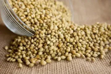Не только вкусная приправа: эта популярная специя способна снизить уровень холестерина и кровяное давление