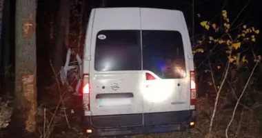 На Житомирщині мікроавтобус з'їхав у кювет: постраждала пасажирка