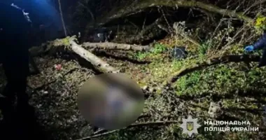 На Полтавщине в лесополосе нашли тело мужчины, пропавшего летом