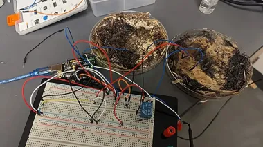 Ученые нашли замену кремнию для чипов прямо под ногами: открытие поразило (фото)