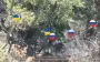 Five occupiers surrender to soldiers of 5th SAB. VIDEO