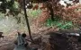 SOF fighters took enemy by surprise and eliminated three occupiers at camouflaged enemy position. VIDEO