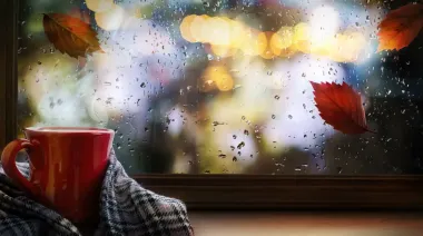 Майже по всій Україні очікують дощі