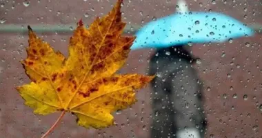 Синоптикиня попередила про мінливу погоду із дощами та вітром