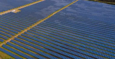 Солнечные панели приближают катастрофу в целой стране: чем они опасны