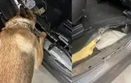 На Львівщині в авто виявили 27 кг наркотиків з Польщі