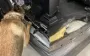 На Львівщині в авто виявили 27 кг наркотиків з Польщі