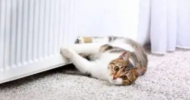 В Украине официально стартовал отопительный сезон: более половины соцобъектов уже с теплом