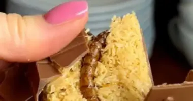 В Україні почали продавати шоколад зі справжніми личинками: який він на смак