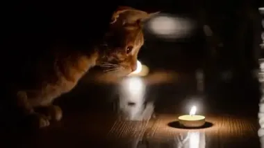 Свет исчезает не по графику: энергетики объяснили путаницу в отключениях