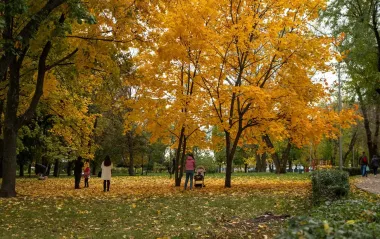 Тепло возвращается в Украину: где ожидать до +18 завтра