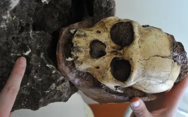 Наполовину обезьяна, наполовину человек: кого на самом деле нашли антропологи