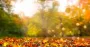 Жовтень завершиться в Україні теплою погодою