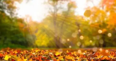 Октябрь завершится в Украине теплой погодой