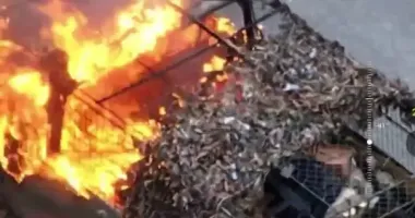 На Півдні українські прикордонники спалили ворожі спецавтомобілі