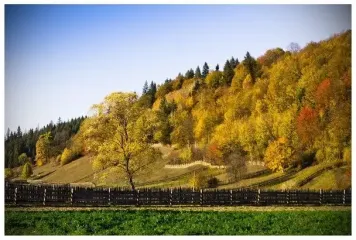 Идеальный осенний день: какой будет погода 30 октября в Украине