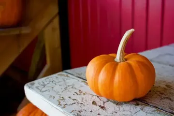 Три идеальных места для хранения тыквы в квартире — она не испортится к лету