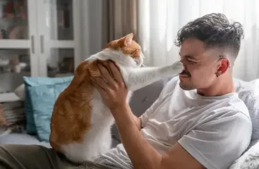 Женщина оставила кошку другу на полгода, а по возвращению получила счет, как из отеля