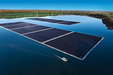 Найдена новая угроза солнечных панелей: почему и для кого они опасны (фото)