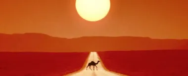 Экстремальные температуры связали с повышенным риском смерти: что станет причиной гибели