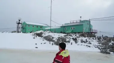 Возле станции "Вернадского" появились первые горбатые киты: как они выглядят (фото)