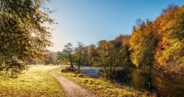Стало известно, какой будет погода в последний день октября