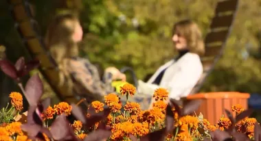 Аномальное потепление придет в Украину: температура поднимется до +19°С, — синоптик