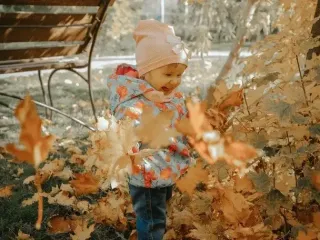 Скільки триватиме “бабине літо”: синоптик попередив про різку зміну погоди