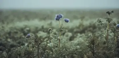 День ангела 31 жовтня: кого та як вітати з іменинами