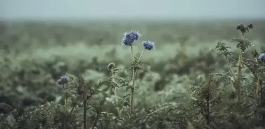 День ангела 31 октября: кого и как поздравлять с именинами