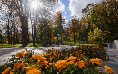 Листопад несе в Україну сонце: синоптик сказала, де на вихідних буде найтепліше