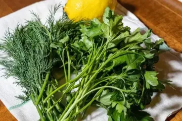 Як зберегти зелень свіжою у холодильнику максимально довго без заморожування: найкращі способи