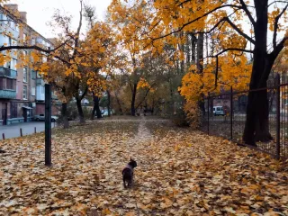 Потепление до +17: Диденко рассказала, какой будет погода на выходных