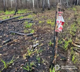 Возле границы с Беларусью взорвались два автомобиля: пятеро погибших (фото)