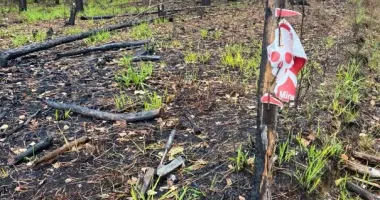 На Житомирщині два автомобілі підірвались на мінах, є жертви