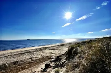 Черное море под ударом: токсины, мины и экономические потери из-за разрушенных портов