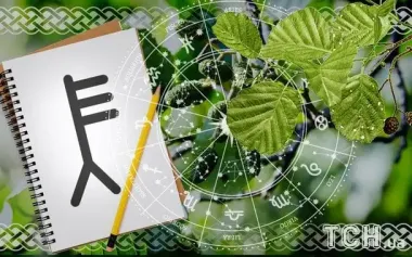 Кельтский гороскоп деревьев на 1 ноября 2025: Тельцам – стабильность, Стрельцам – вдохновение