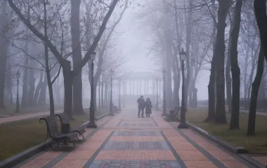 Украину накроет густой туман: советы от полиции водителям и пешеходам